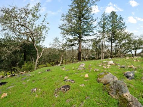 2924 Old Bennett Ridge Road Santa Rosa CA 95404