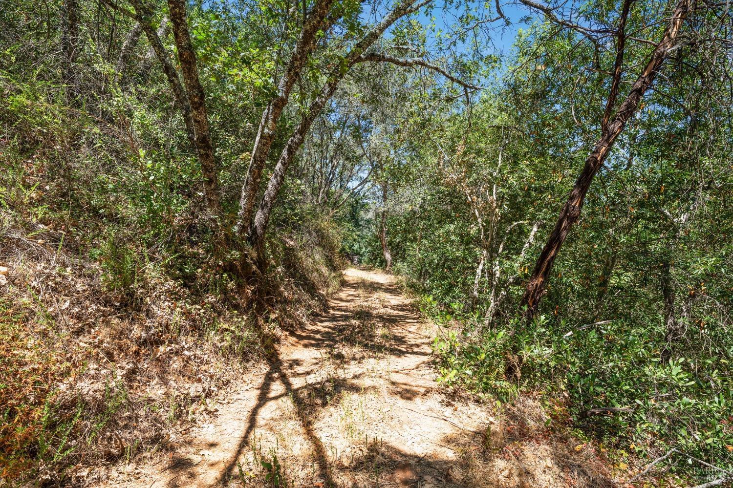 6445 Mountain View Ranch Road Healdsburg CA 95448