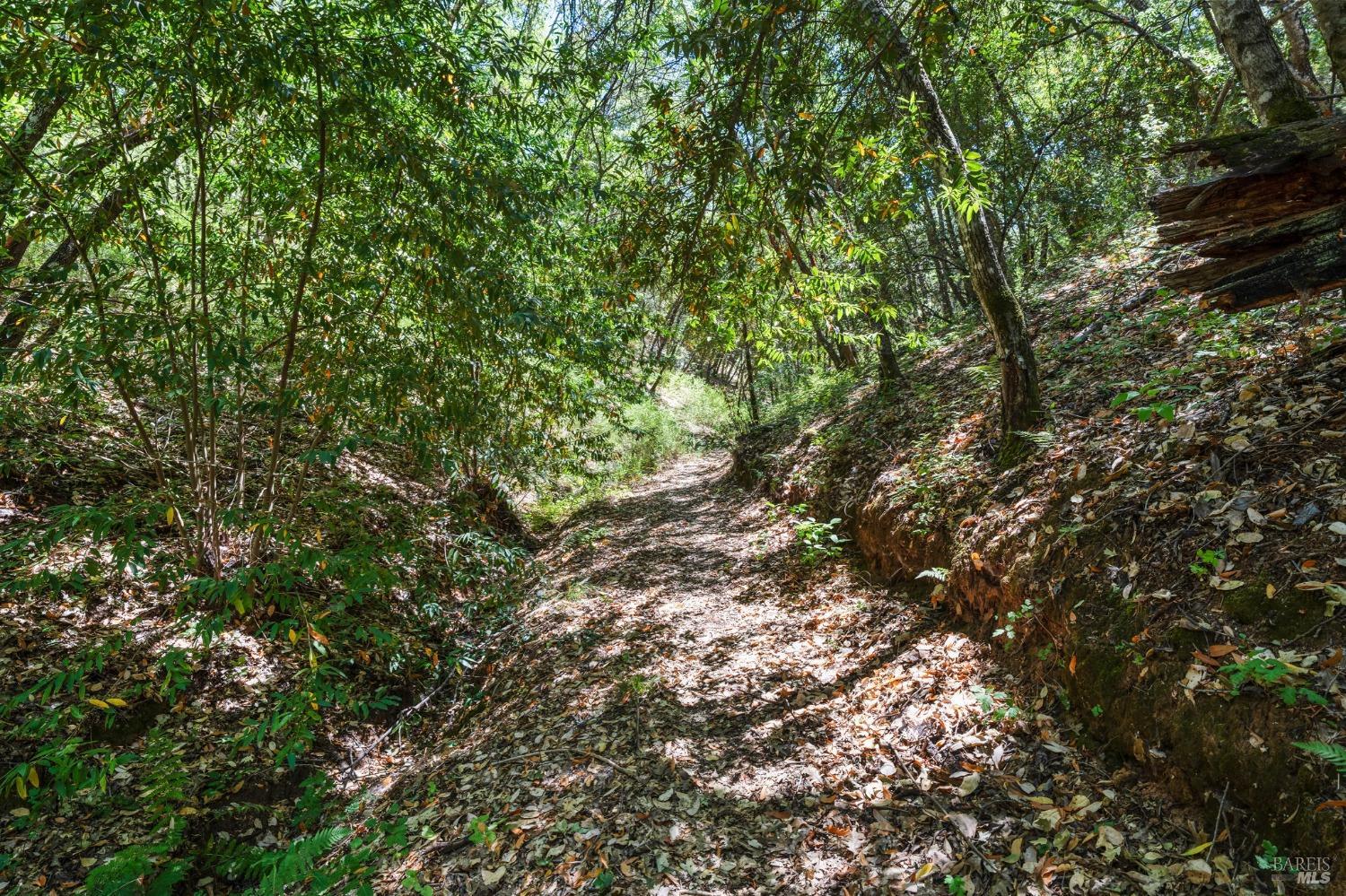 6445 Mountain View Ranch Road Healdsburg CA 95448