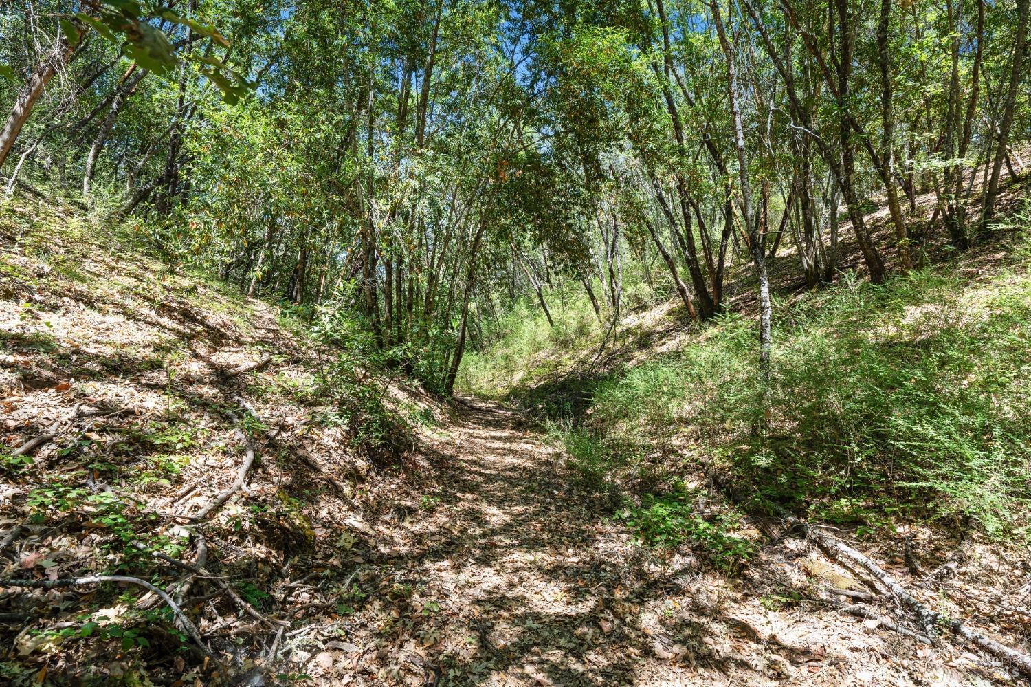6445 Mountain View Ranch Road Healdsburg CA 95448