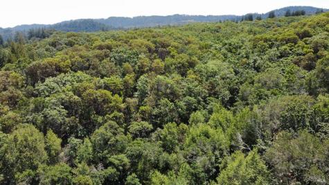 6445 Mountain View Ranch Road Healdsburg CA 95448