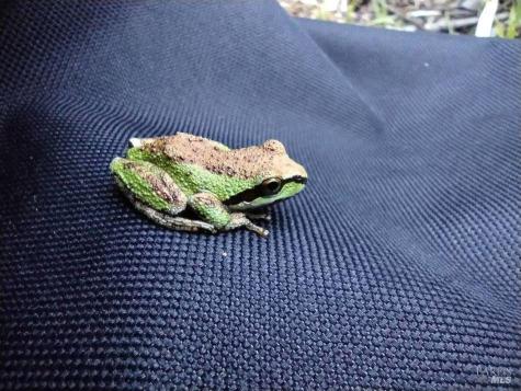 6445 Mountain View Ranch Road Healdsburg CA 95448