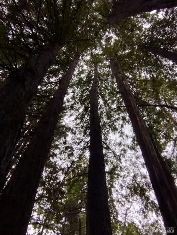 6445 Mountain View Ranch Road Healdsburg CA 95448