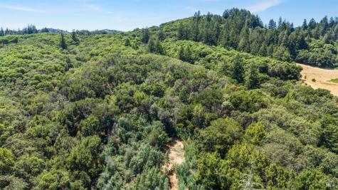6445 Mountain View Ranch Road Healdsburg CA 95448