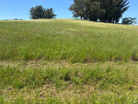 6501-6621 Stony Point Road Cotati CA 94931