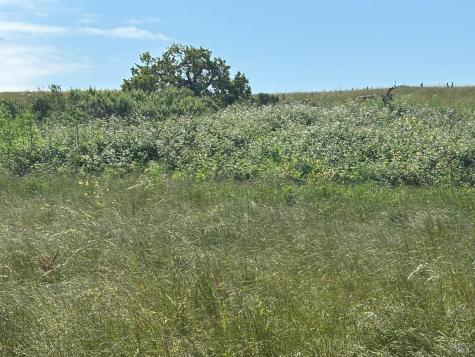 6501-6621 Stony Point Road Cotati CA 94931
