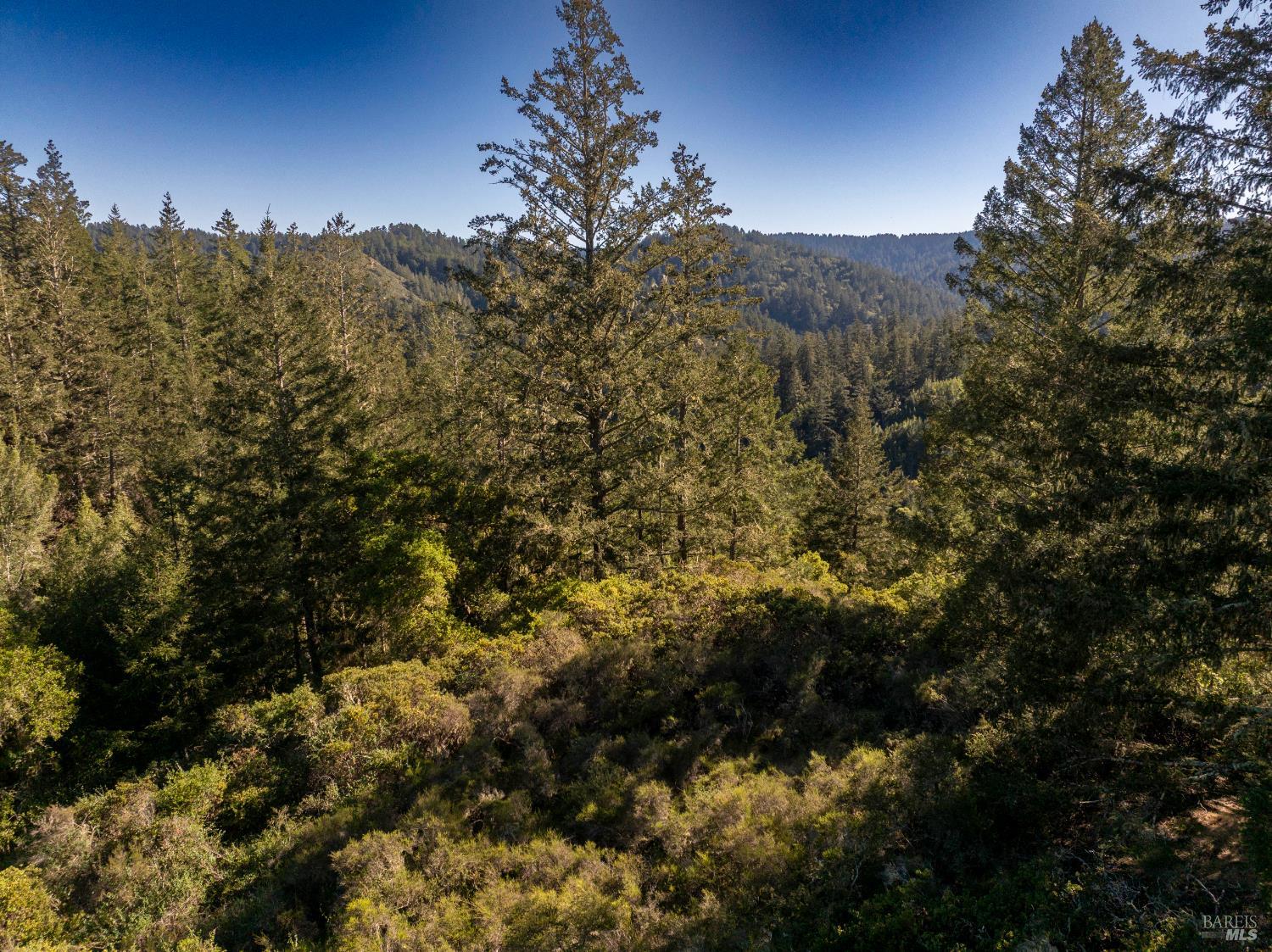 0 Vista Avenue Forest Knolls CA 94933