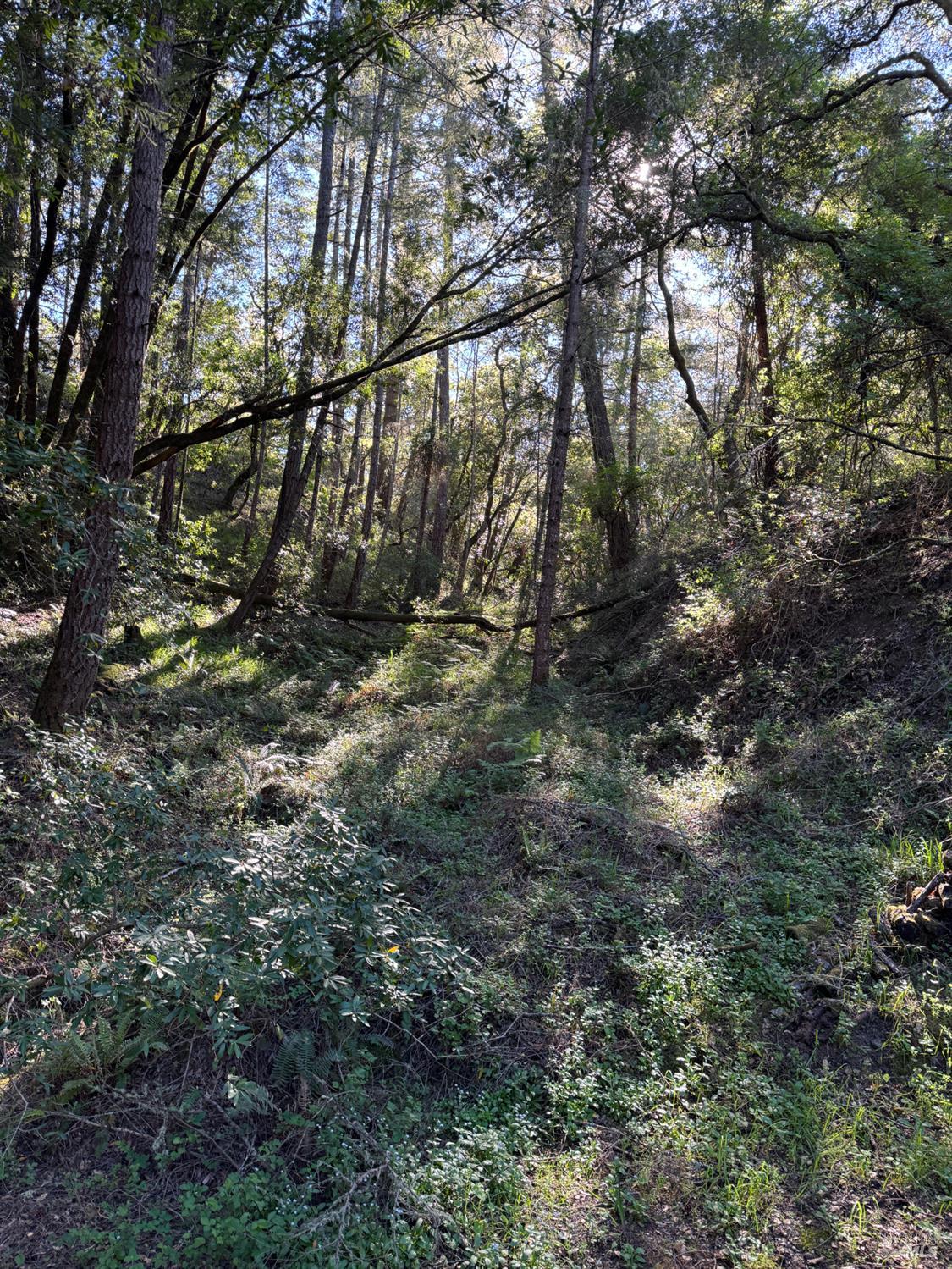 0 Vista Avenue Forest Knolls CA 94933