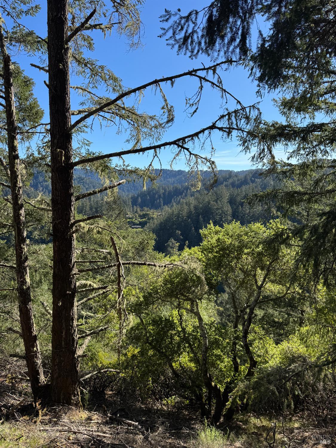 0 Vista Avenue Forest Knolls CA 94933