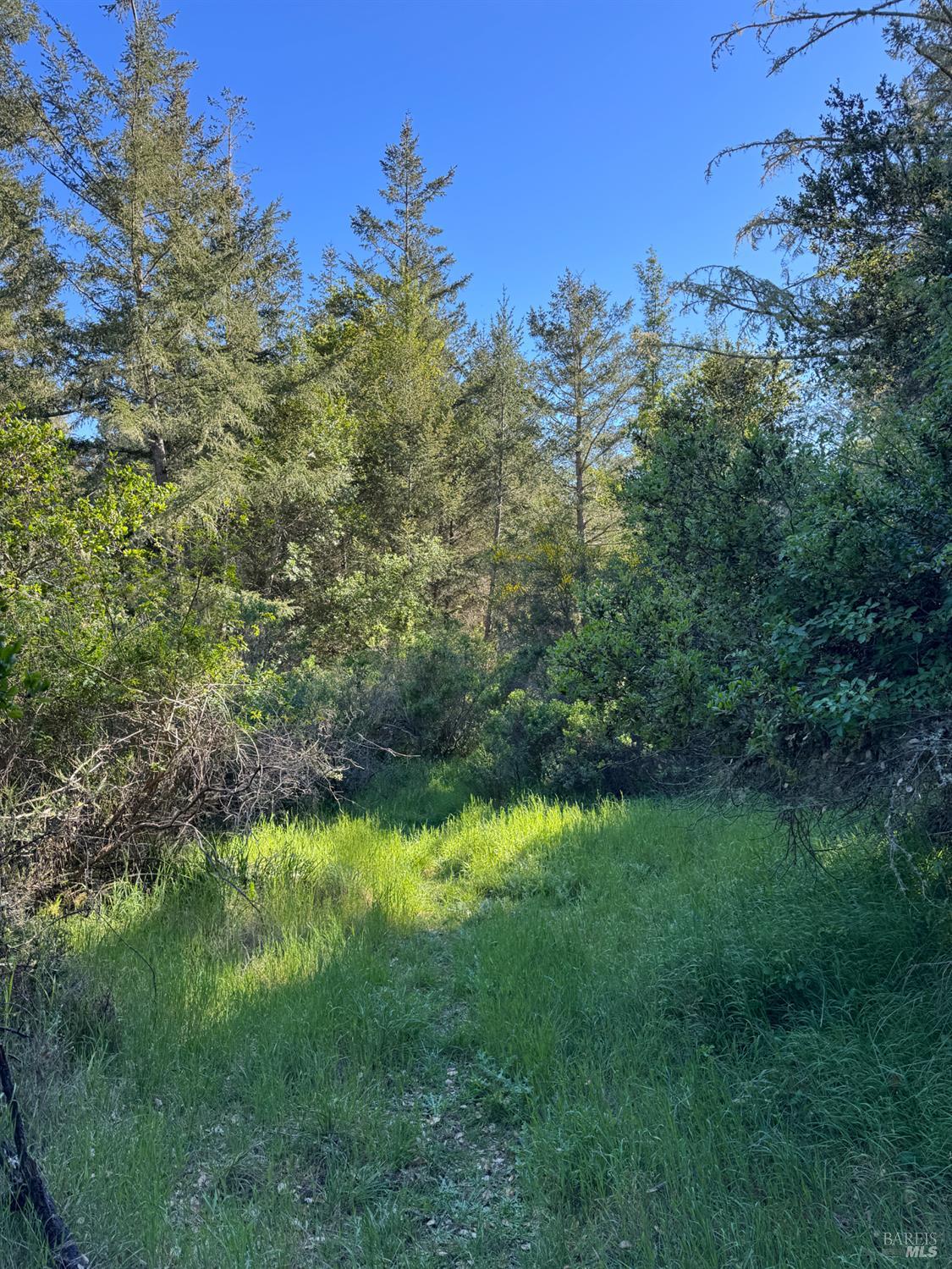 0 Vista Avenue Forest Knolls CA 94933