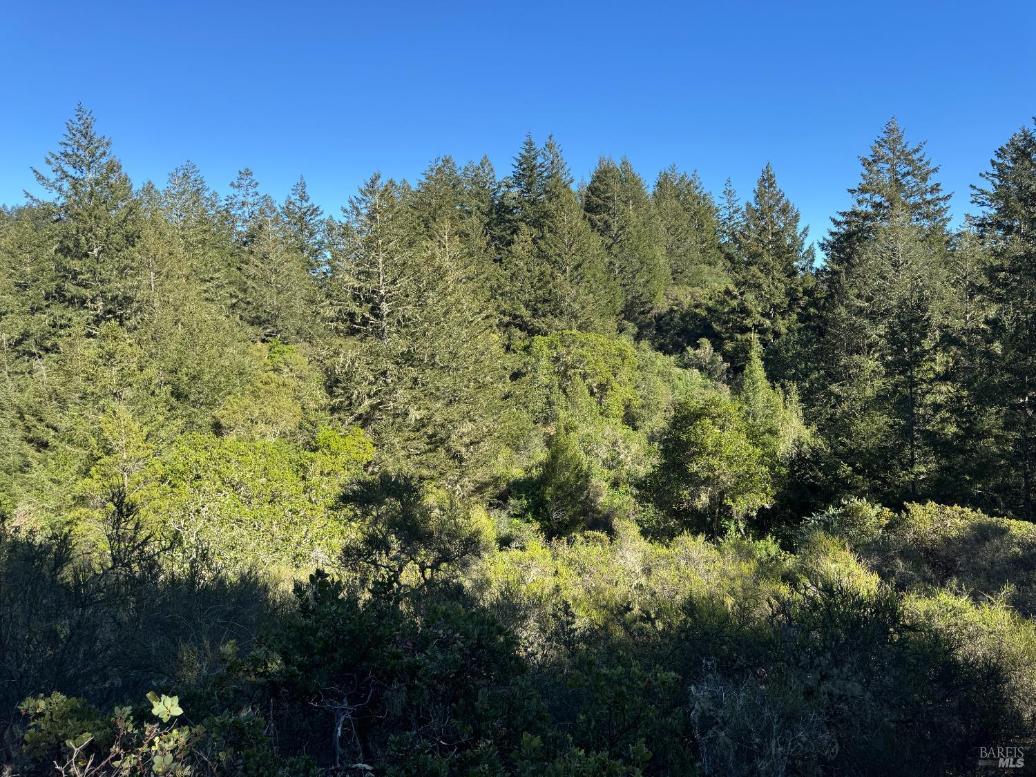 0 Vista Avenue Forest Knolls CA 94933