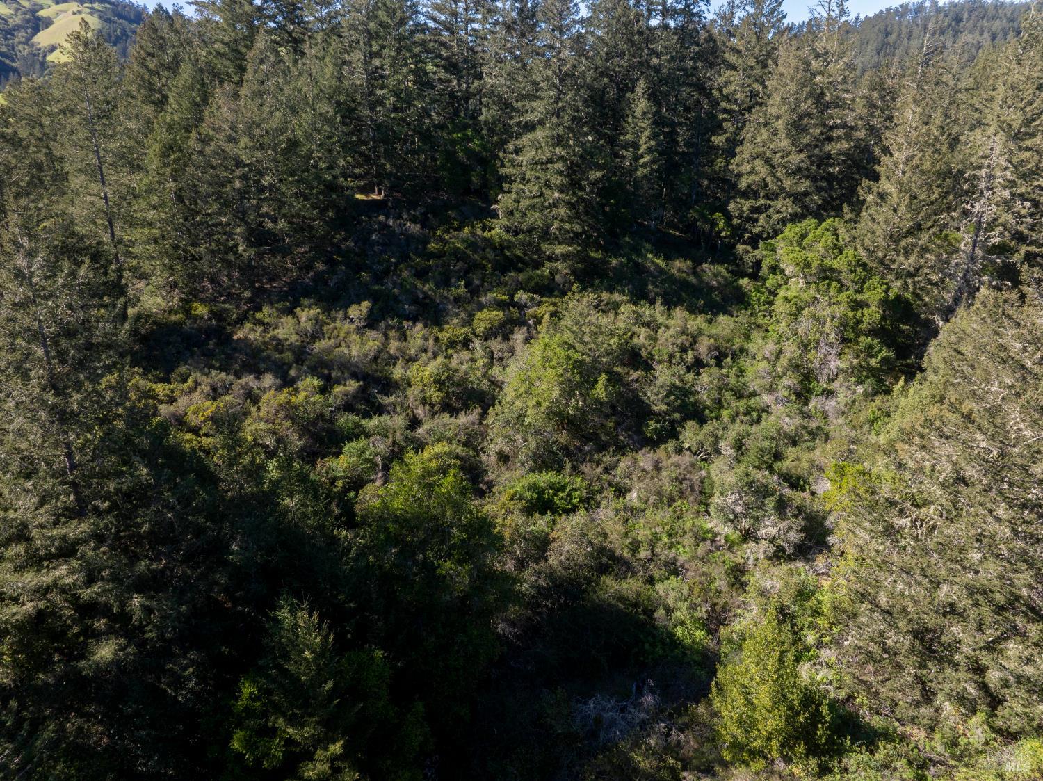 0 Vista Avenue Forest Knolls CA 94933