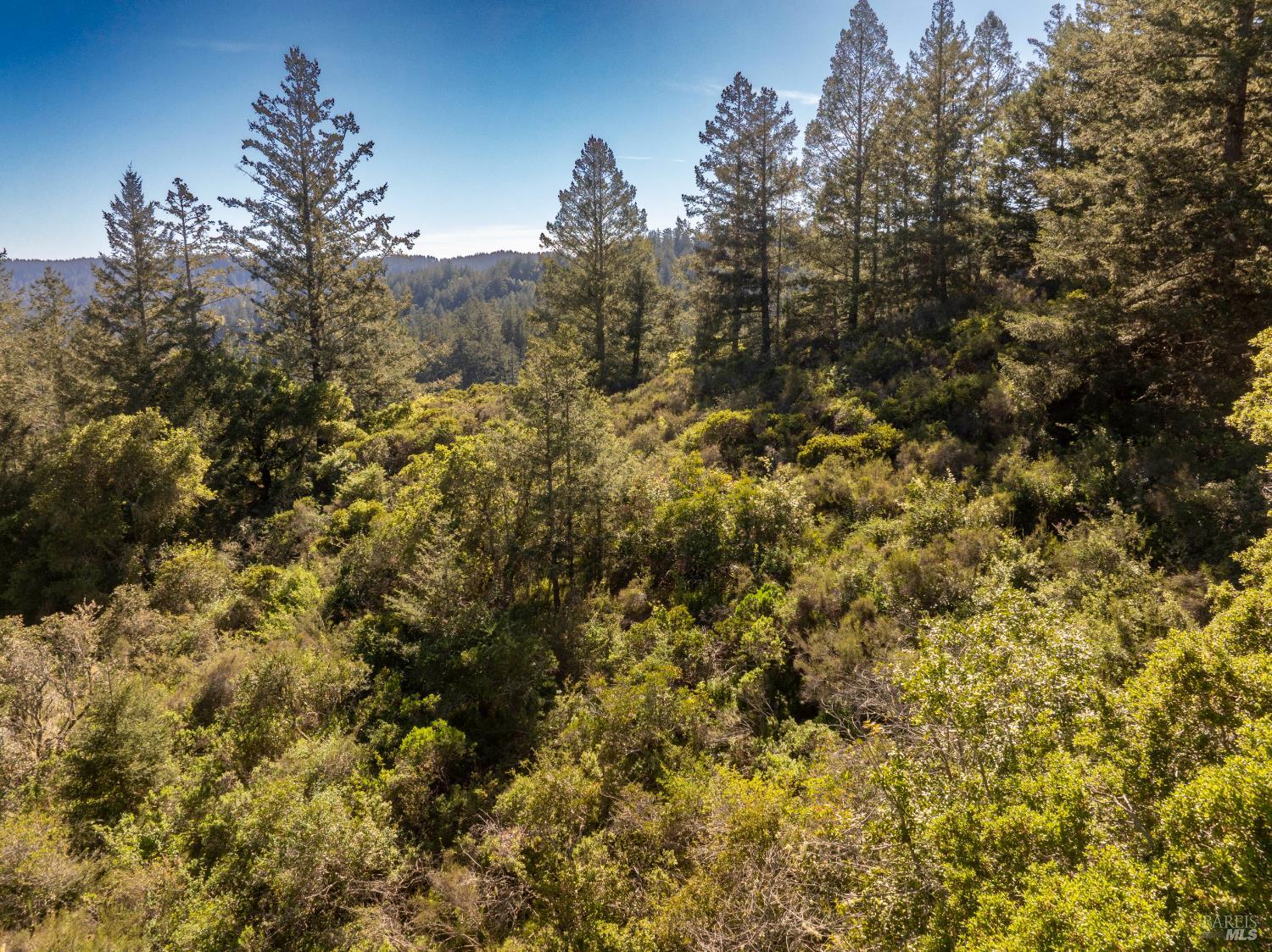 0 Vista Avenue Forest Knolls CA 94933