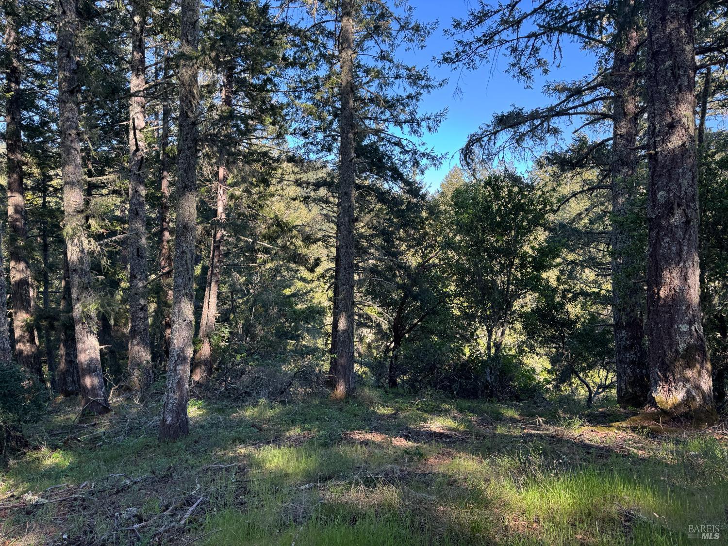 0 Vista Avenue Forest Knolls CA 94933