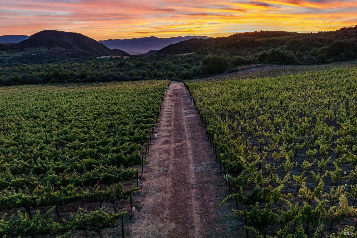3585 Soda Canyon Road Napa CA 94558