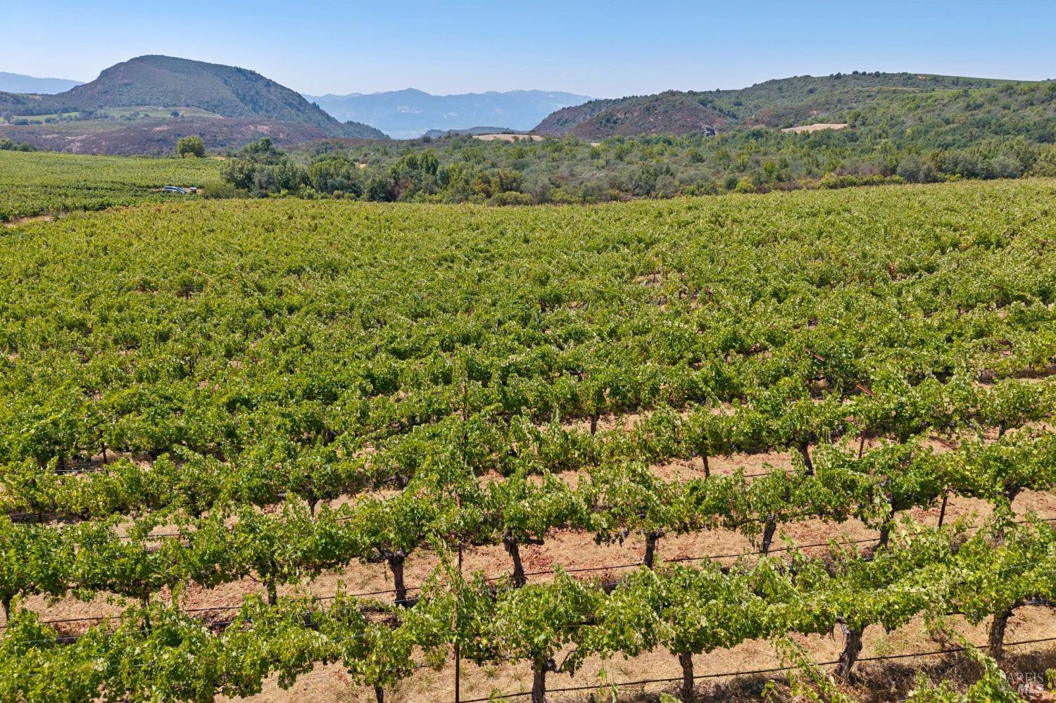3585 Soda Canyon Road Napa CA 94558