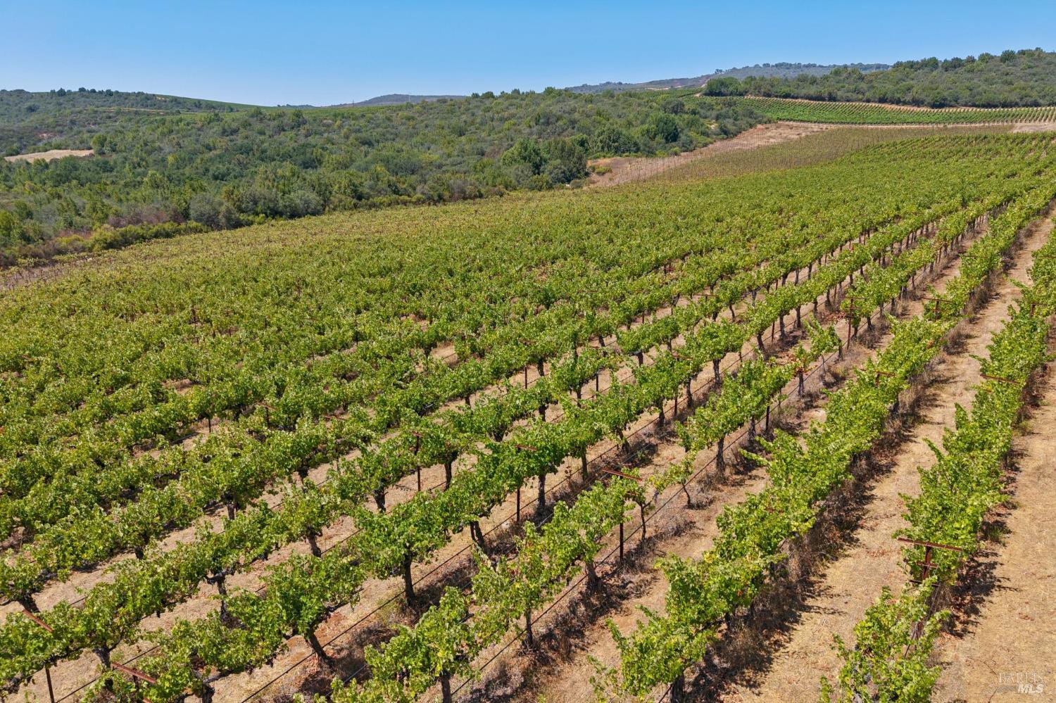 3585 Soda Canyon Road Napa CA 94558