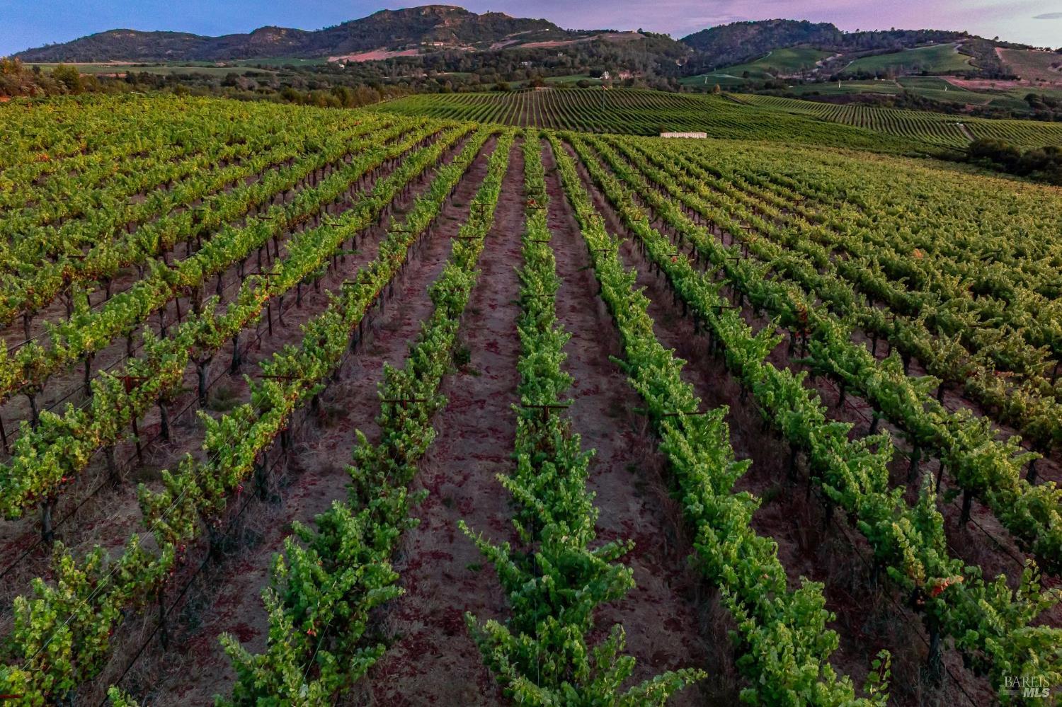 3585 Soda Canyon Road Napa CA 94558
