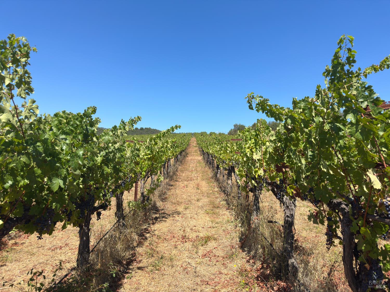 3585 Soda Canyon Road Napa CA 94558
