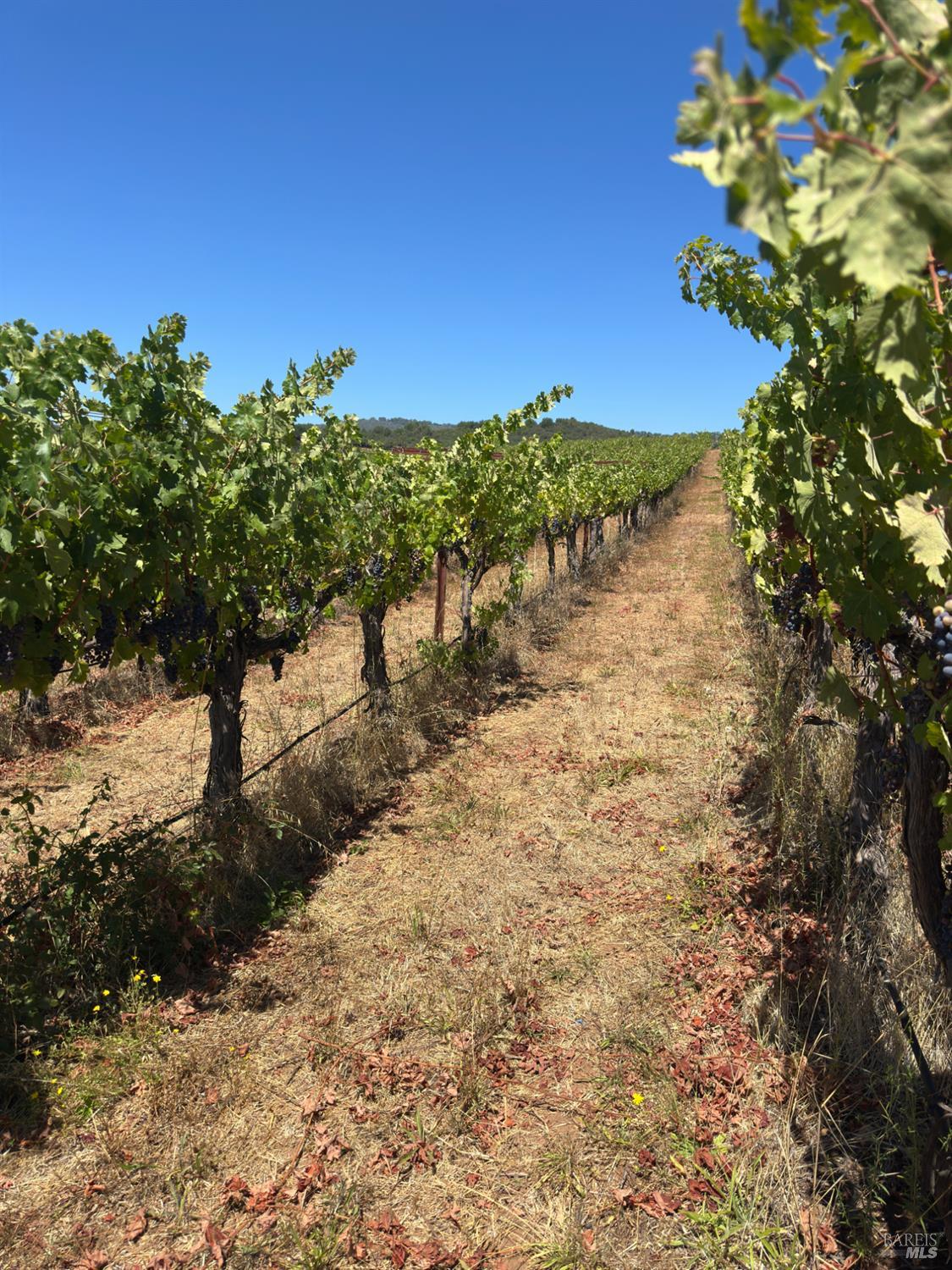 3585 Soda Canyon Road Napa CA 94558