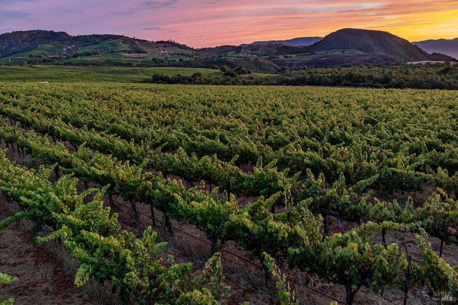 3585 Soda Canyon Road Napa CA 94558