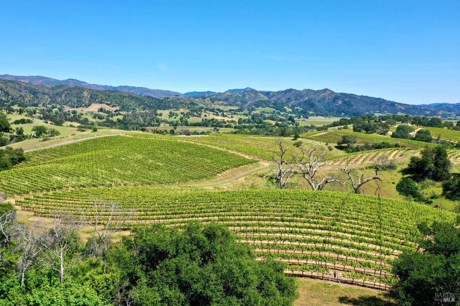 309 Artisan Circle Geyserville CA 95441