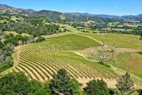 309 Artisan Circle Geyserville CA 95441