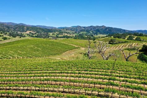 309 Artisan Circle Geyserville CA 95441