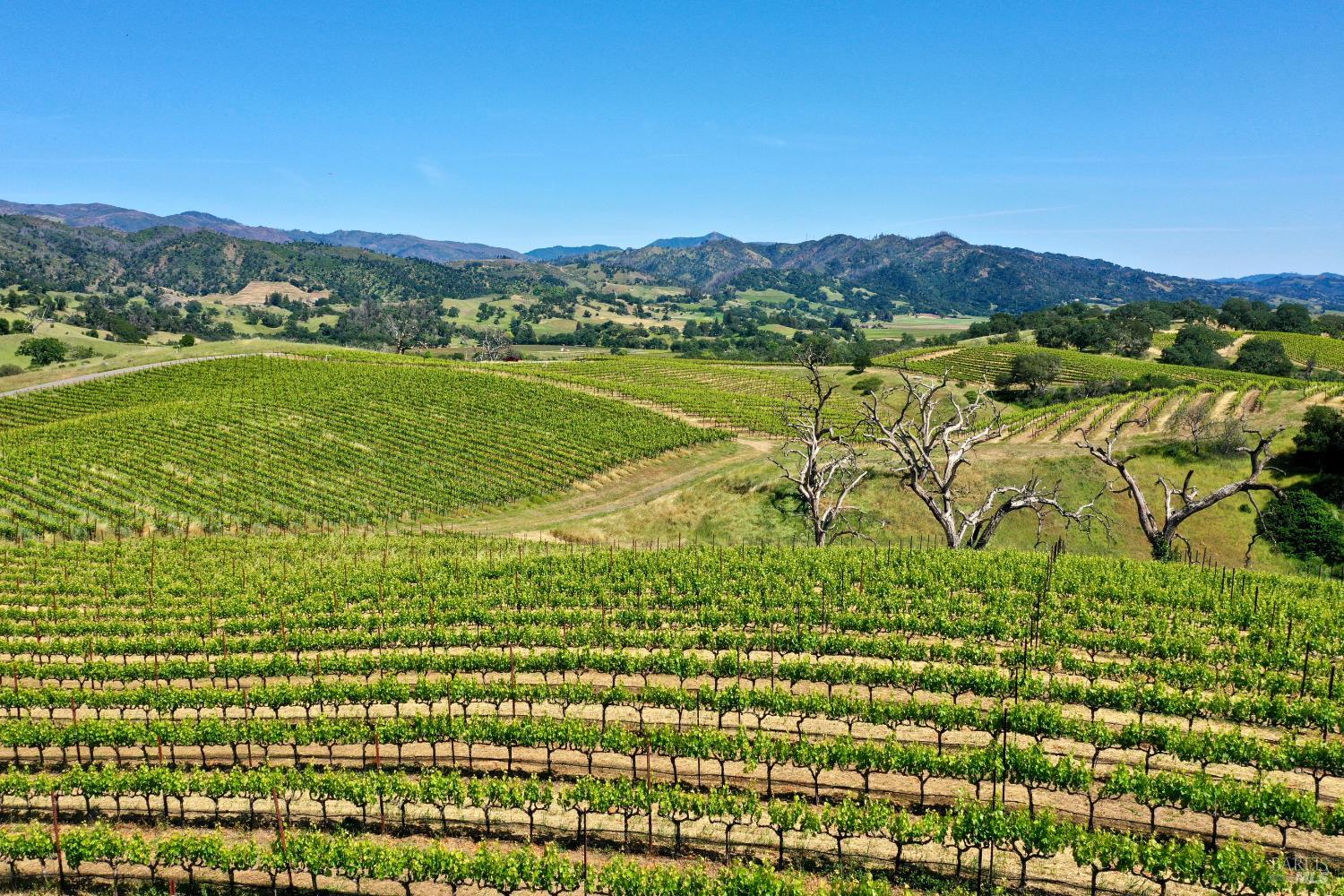309 Artisan Circle Geyserville CA 95441