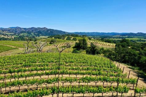 309 Artisan Circle Geyserville CA 95441