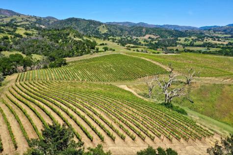 309 Artisan Circle Geyserville CA 95441