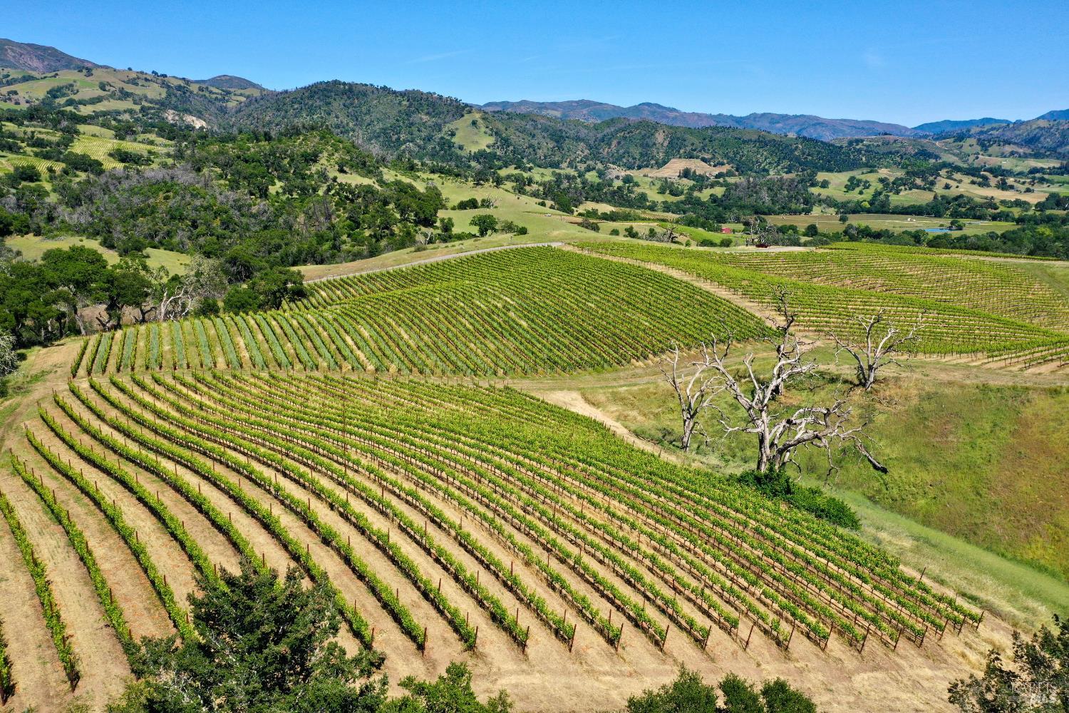 309 Artisan Circle Geyserville CA 95441