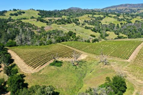 309 Artisan Circle Geyserville CA 95441