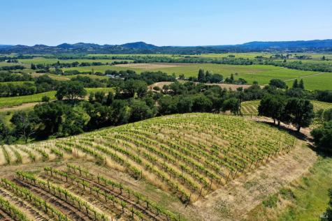 309 Artisan Circle Geyserville CA 95441