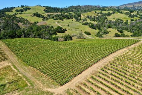 309 Artisan Circle Geyserville CA 95441