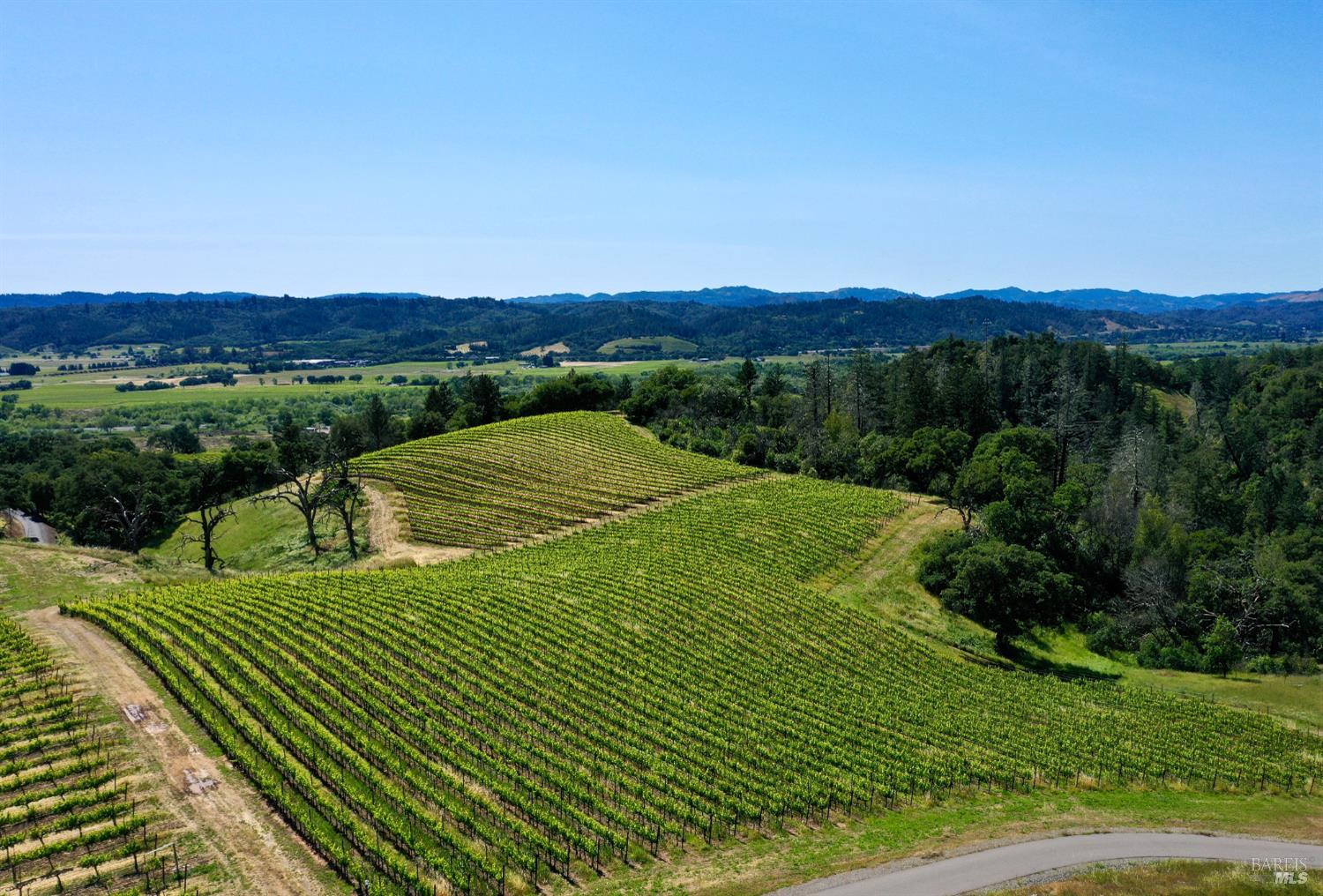 309 Artisan Circle Geyserville CA 95441