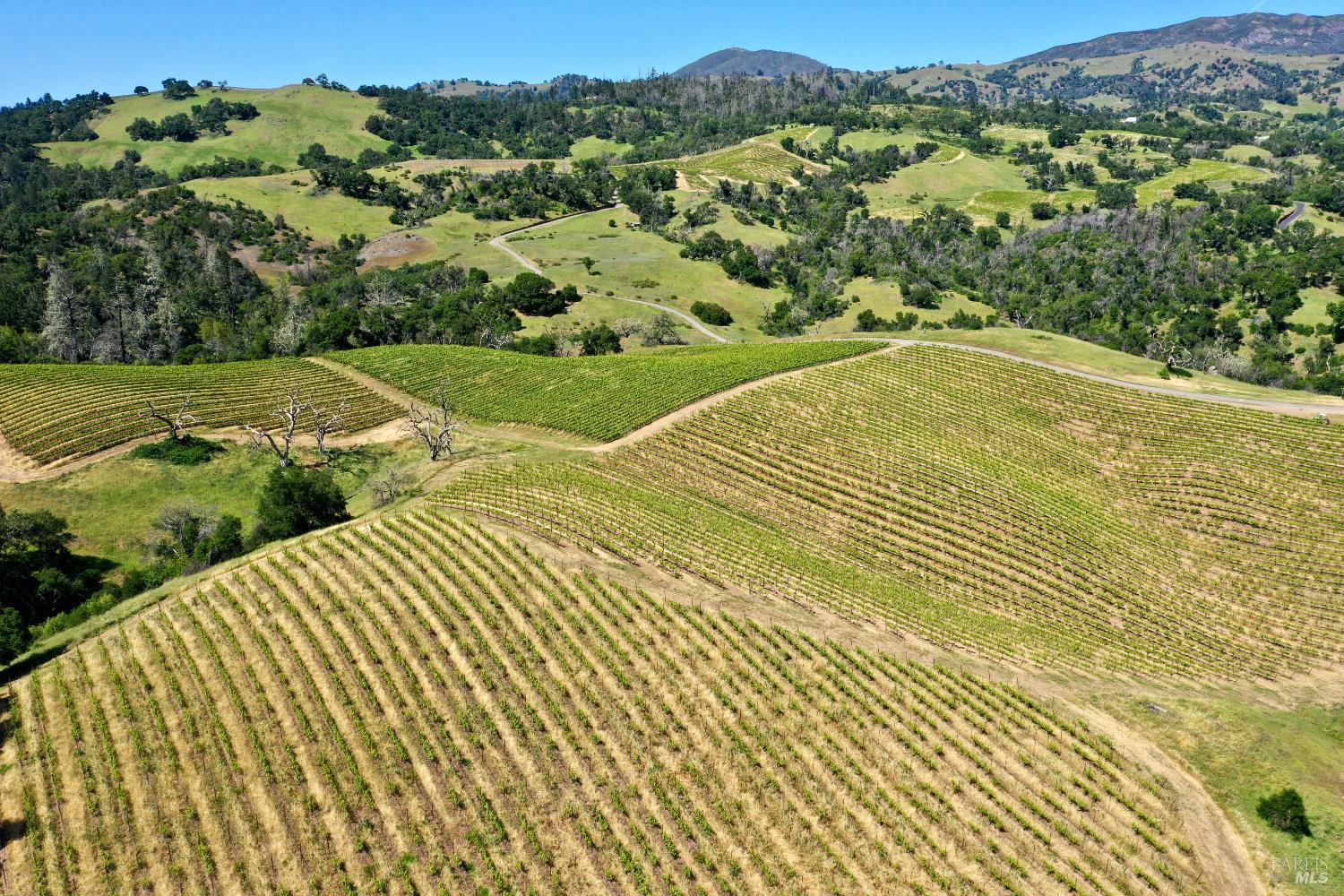 309 Artisan Circle Geyserville CA 95441