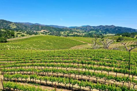 309 Artisan Circle Geyserville CA 95441