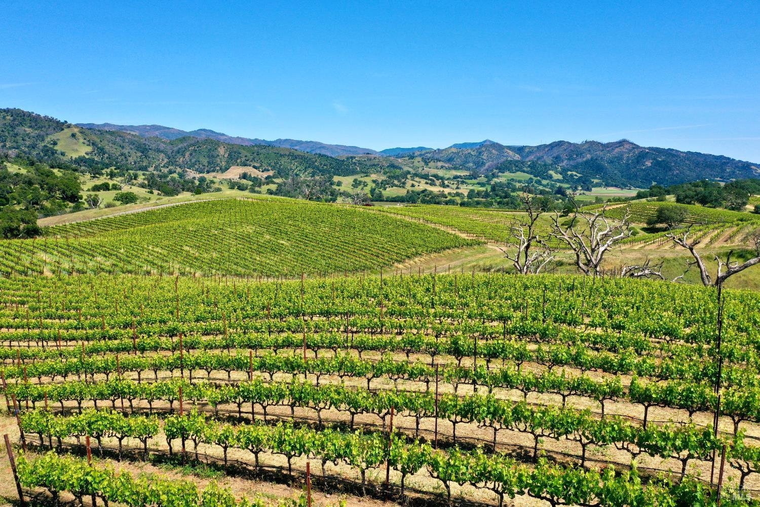 309 Artisan Circle Geyserville CA 95441