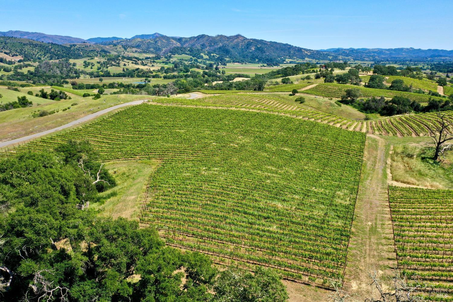 309 Artisan Circle Geyserville CA 95441