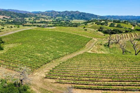 309 Artisan Circle Geyserville CA 95441