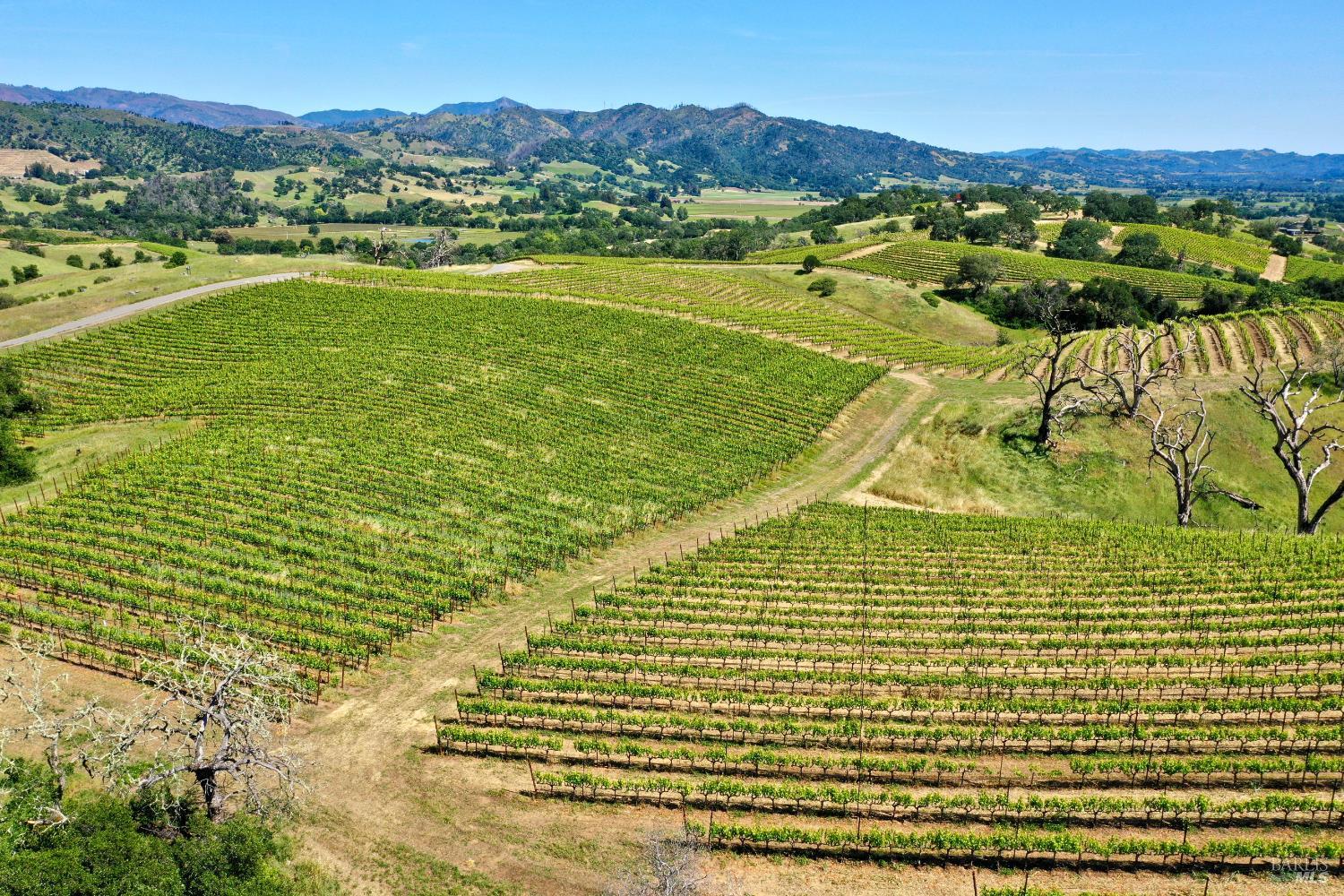 309 Artisan Circle Geyserville CA 95441