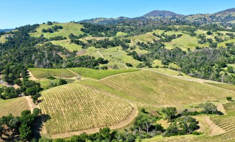 309 Artisan Circle Geyserville CA 95441