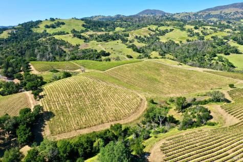 309 Artisan Circle Geyserville CA 95441