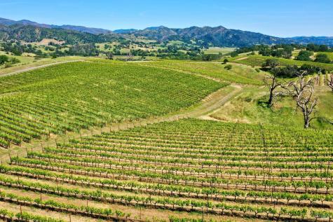 309 Artisan Circle Geyserville CA 95441