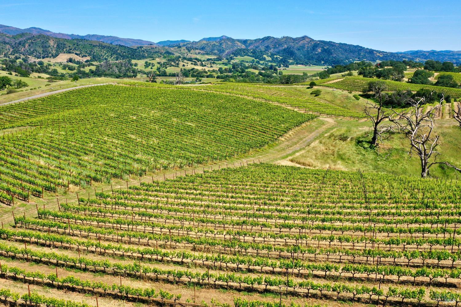 309 Artisan Circle Geyserville CA 95441