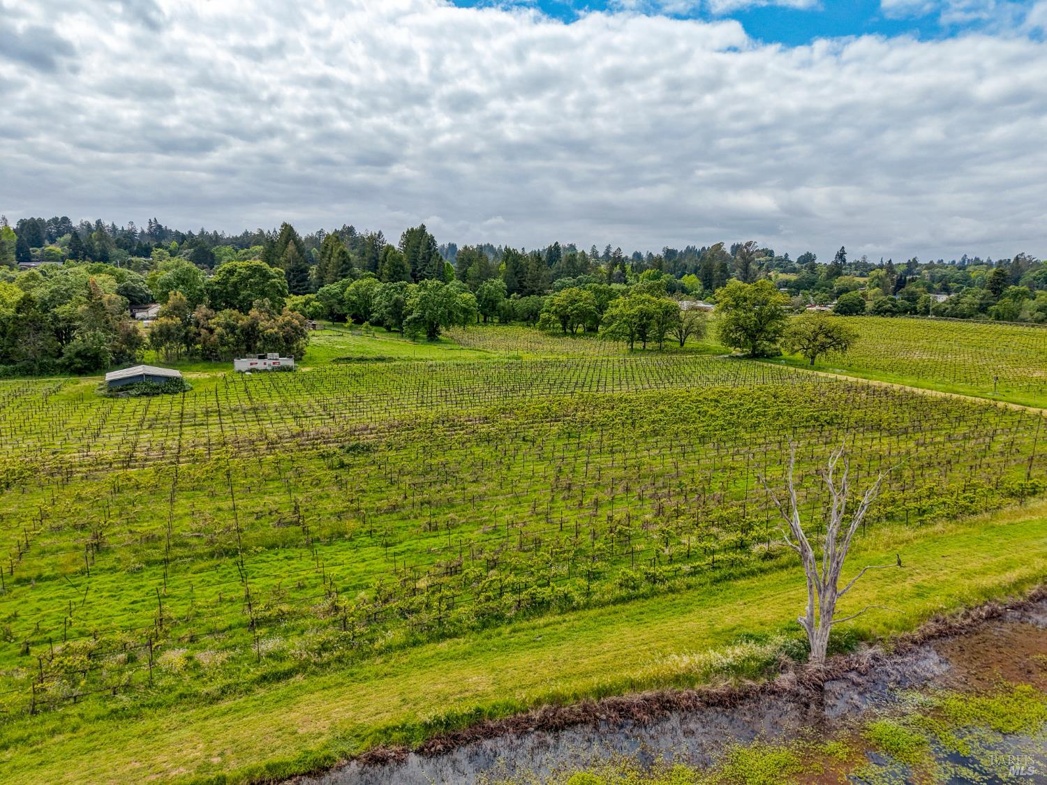 9700 Mill Station Road Sebastopol CA 95472