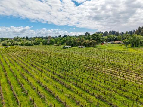 9700 Mill Station Road Sebastopol CA 95472