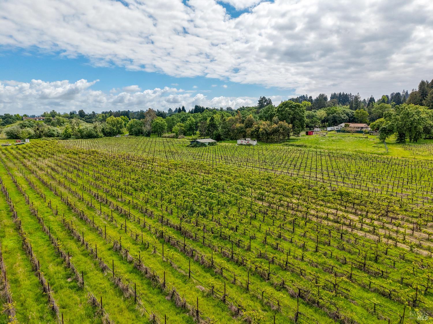 9700 Mill Station Road Sebastopol CA 95472