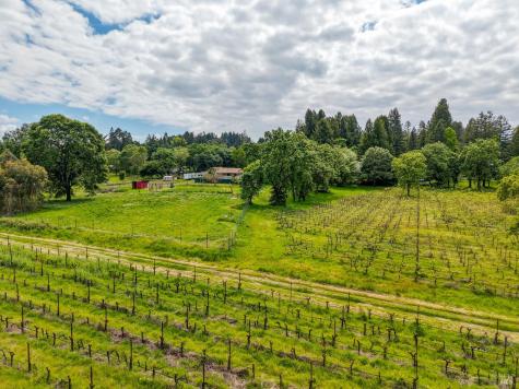 9700 Mill Station Road Sebastopol CA 95472